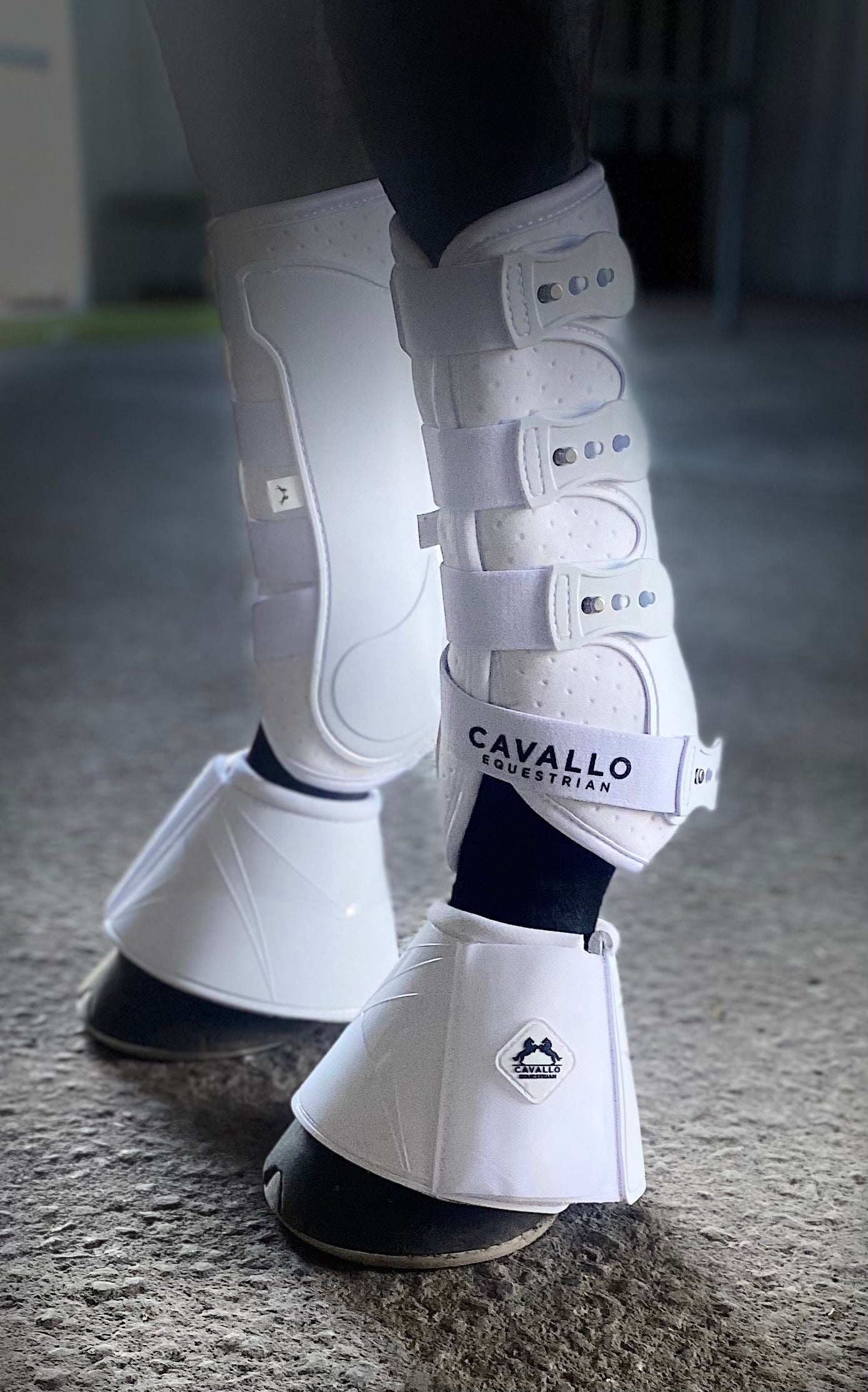 Pro CE Tendon Boots Bell Boots Cavallo Equestrian Wa