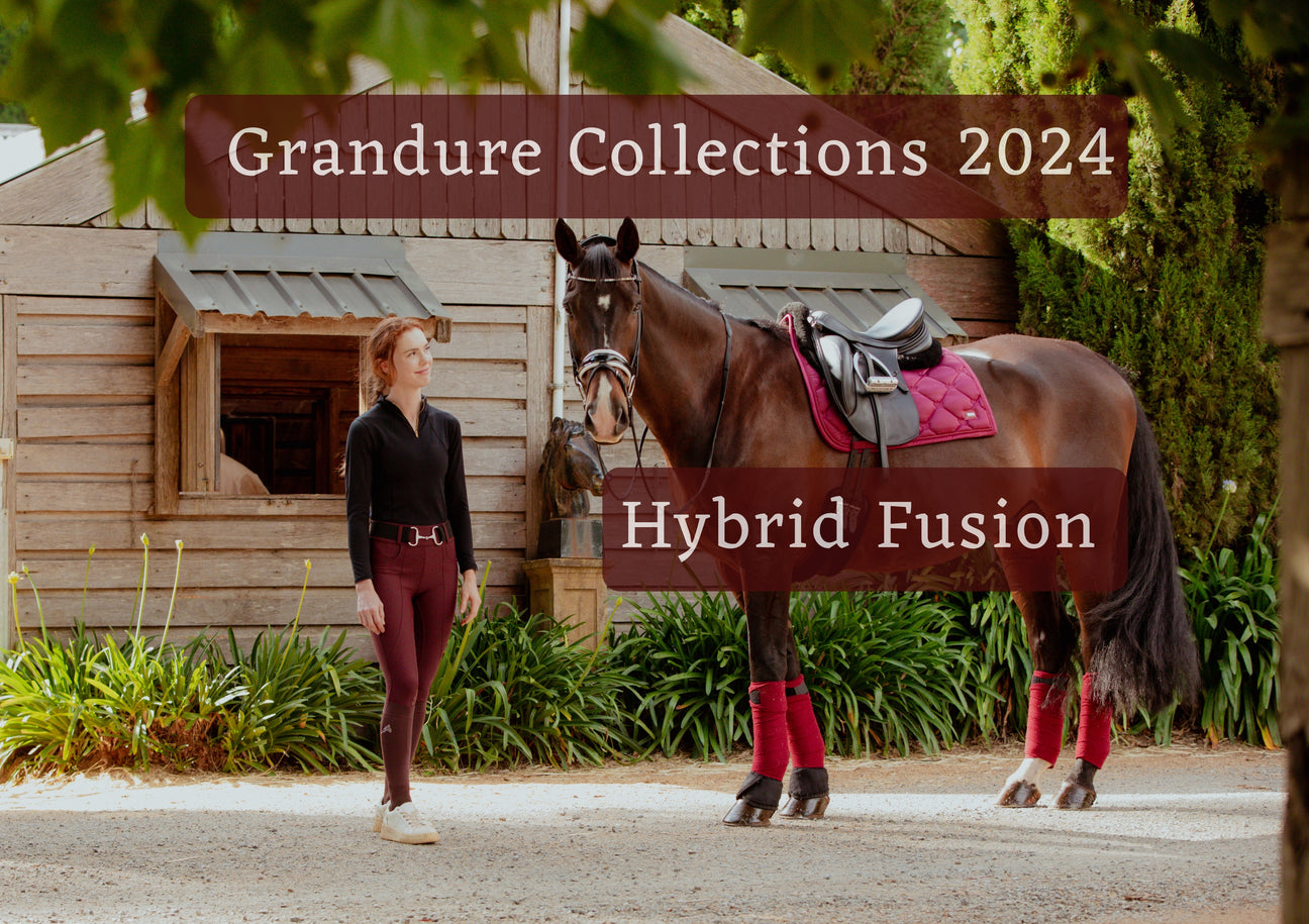 Grandeur Collection 2024