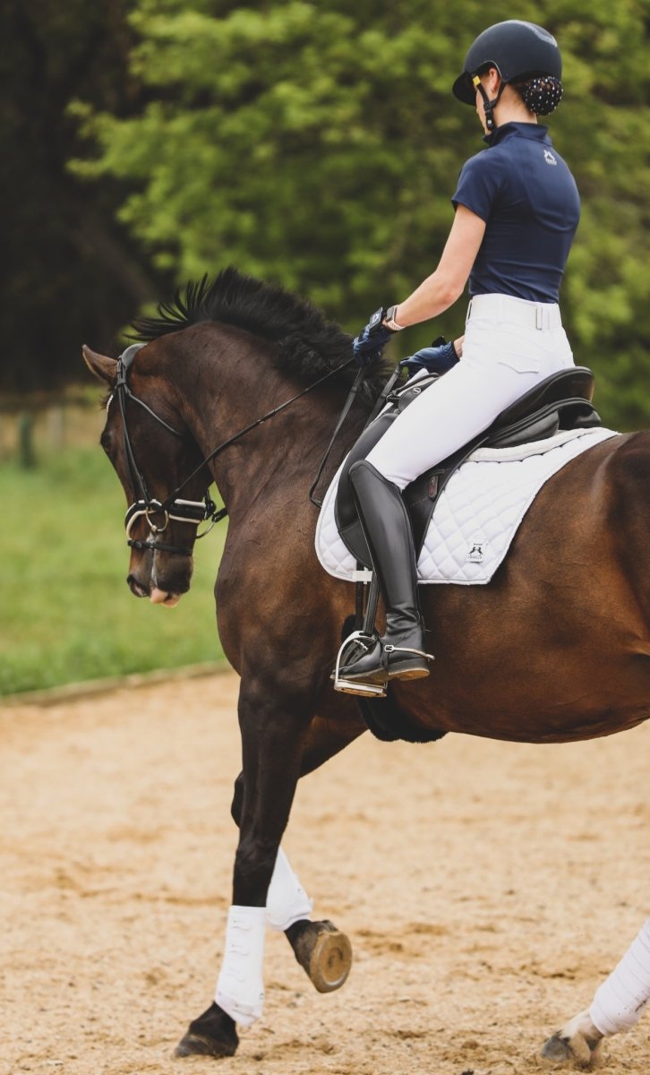 Valencia-Hybrid Compression Performance- White Breeches Breechees